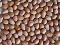 Peanuts