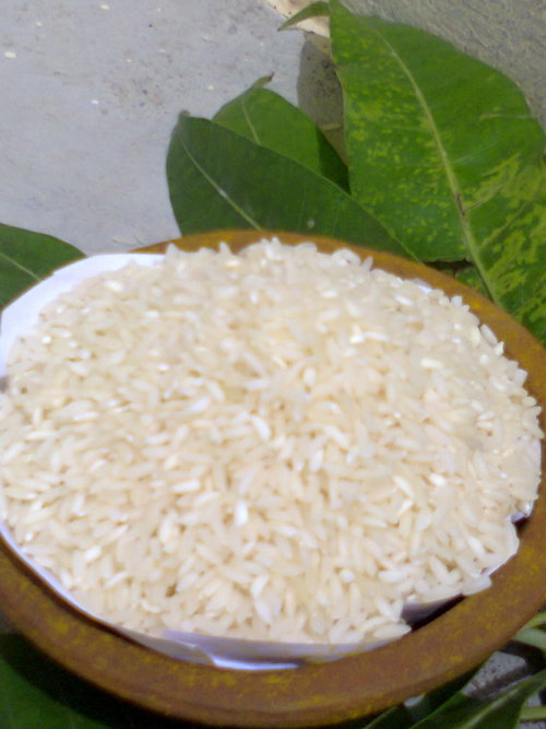 Sona Masoori Steam Rice