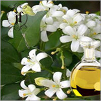 Frankincense Hydrosol