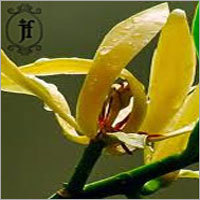 Champaka Floral Water