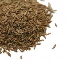 Cumin Seeds Suppliers
