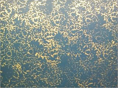 Texture Paint