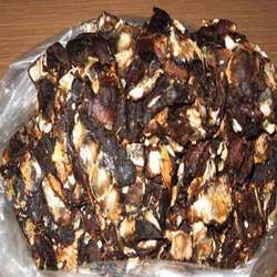 Indian Tamarind