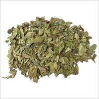 Curry Leaf