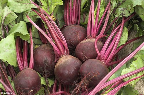 Beet Roots