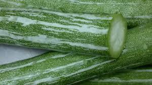 Snake Gourd