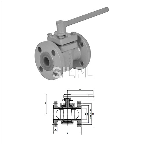 Lined Ball Check Valve