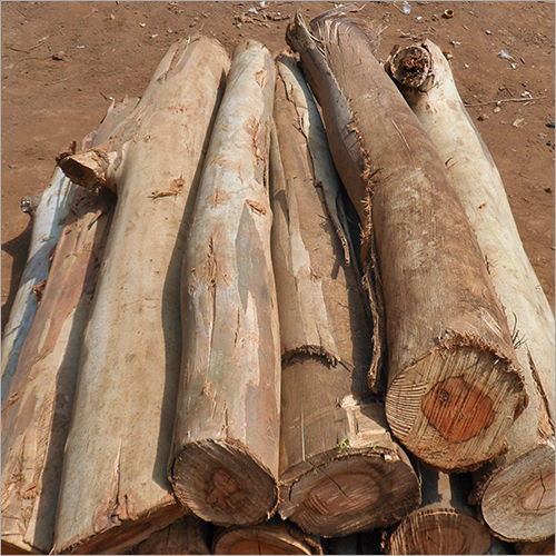 Paper Making Wood Logs