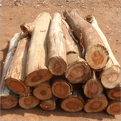 Wood Logs