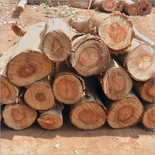 Industrial Paper Making Wood