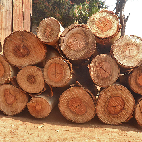 Biomass Wood Briquettes