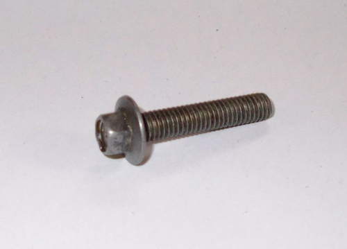 Flange Screw