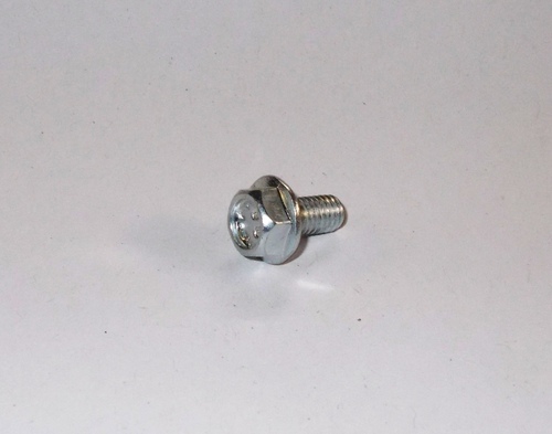 Flange Screw
