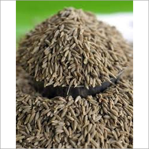 Cumin Seeds