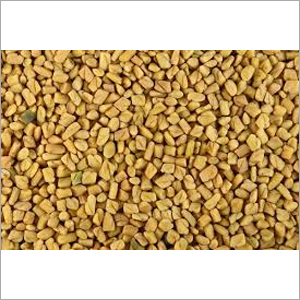 Fenugreek Seeds