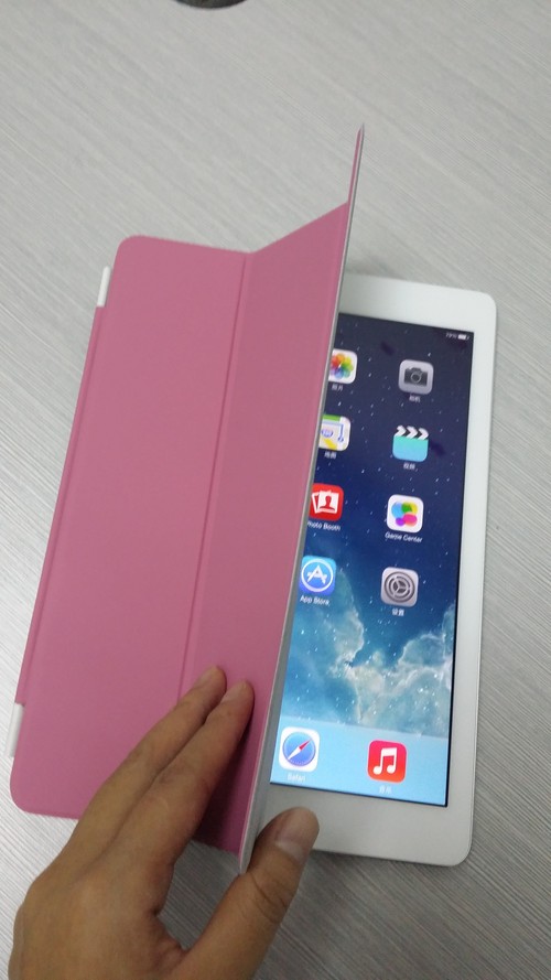 Auto Sleep Flip Case for Ipad