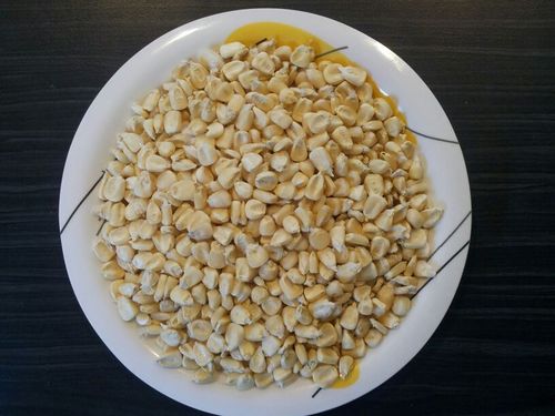 White Corn Maize Suppliers