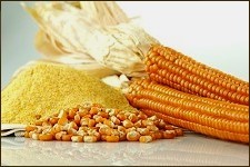 MAIZE MEAL METER