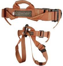 Climbing Belt