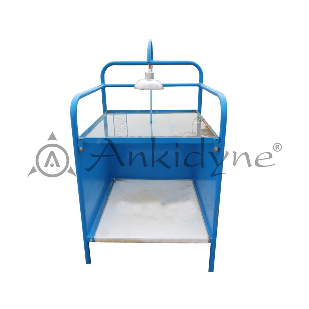 Ripple Tank Wave Propagation