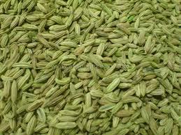 Fennel Seed