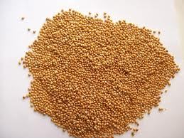Millet Yellow