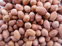Ground Nut (Java & Bold)