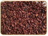 Sesma (Brown)