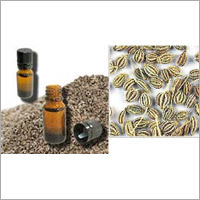 Ajowan Oil