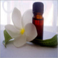 Jasmine Grandiflorum Absolute