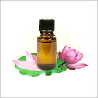 Pink Lotus Absolute Oil
