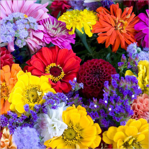 Fresh Flowers