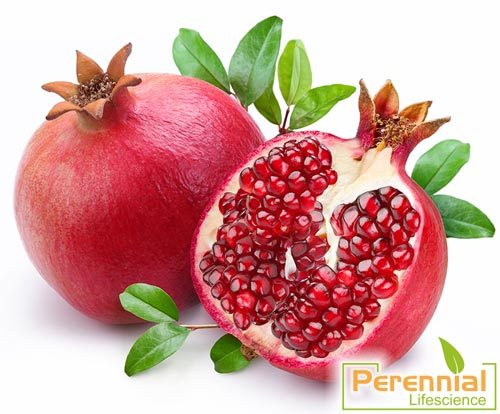 Dried Pomegranate Juice Powder