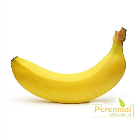 Dried Banana Juice Powder