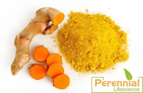 Turmeric Extract/Curcumin 95% Exract