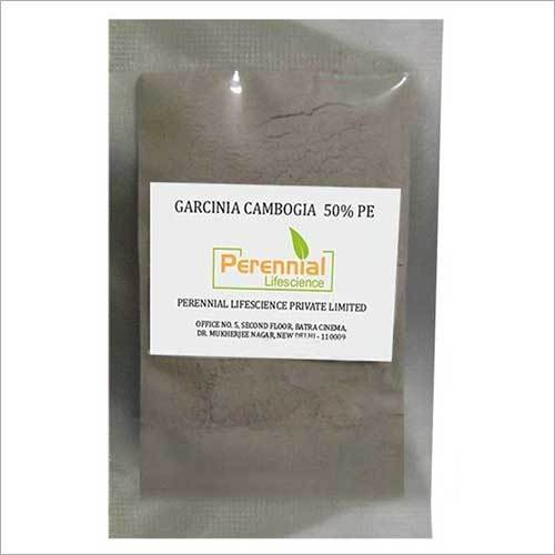 Garcinia Cambogia Extract powder