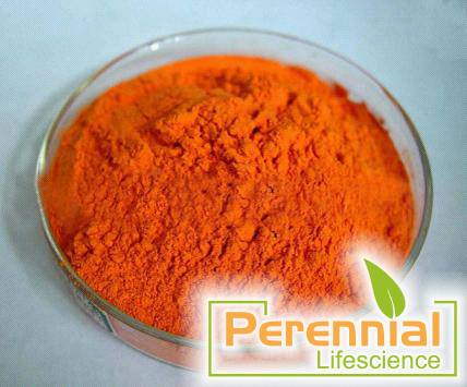 curcumin extract powder