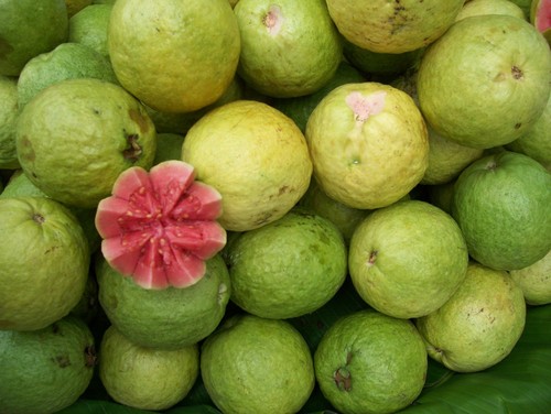 Organic Guava Powder