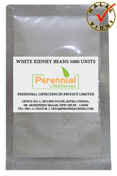 White Kidney Bean Extract