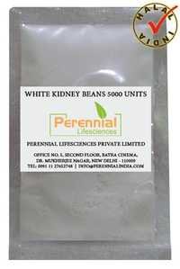 White Kidney Bean Extract