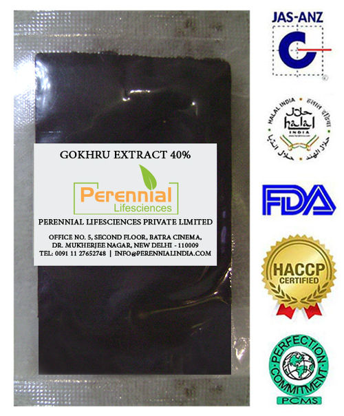 Gokhru Extract 40% saponin