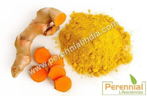 Turmeric Extract