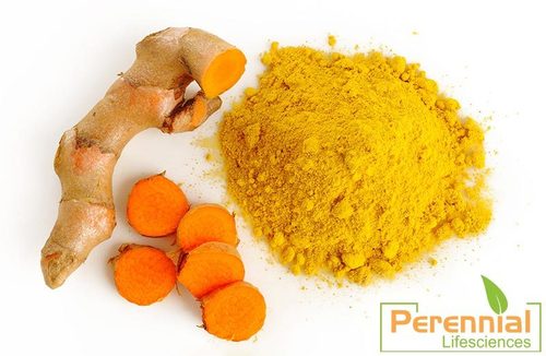Turmeric Extract