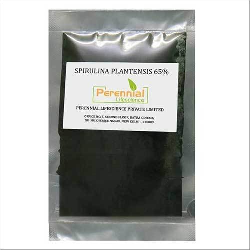 Spirulina Powder