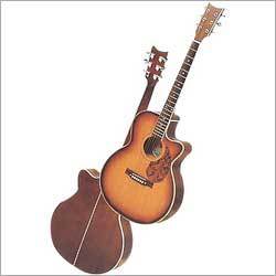Acoustic Guitar Instruments