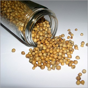 Coriander Seeds