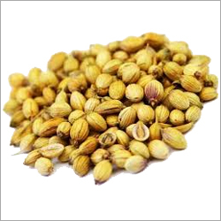 Coriander Seeds