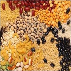 Indian Food Grains