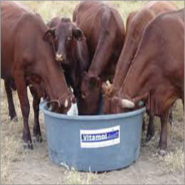 Cattle Feed Supplements