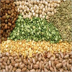 Nutritious Pulses